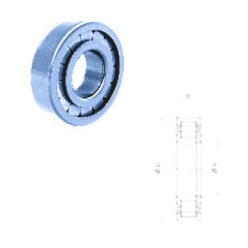 Original SKF Cylindrical Roller Bearings NUP213FPNR/C3 Fersa