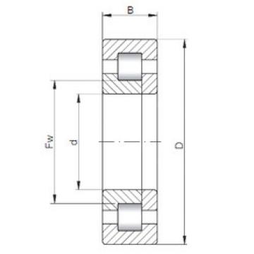 Original SKF Cylindrical Roller Bearings NUP29/500 CX