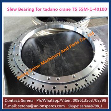 crane slewing bearing for tadano TR250M-1