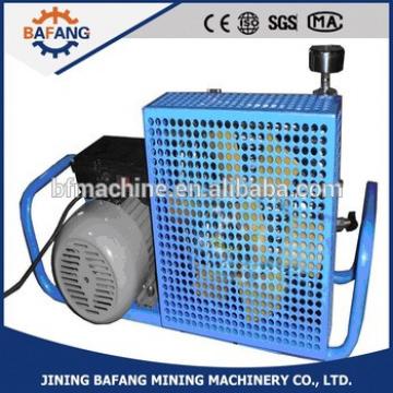 Small-sized apparatus respiratorius pneumatic pump Air Compressor,diving High Pressure Compressor