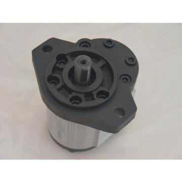 China hydraulic gear motor supplier
