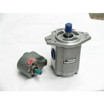 mini gear pump manufacture