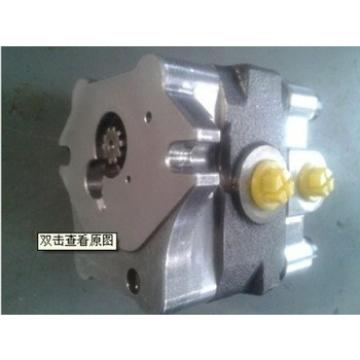 Used for NACHI PVD-2B series hydraulic pump gear pump