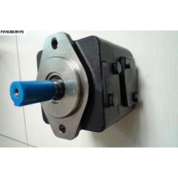 Dansion vane pump T6DP-B45-3L02