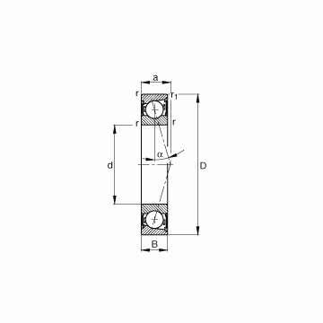 B7028-C-2RSD-T-P4S FAG Angular Contact Ball Bearings