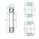 Original SKF Cylindrical Roller Bearings NUP29/1060 PSL