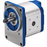 PGF2-2X/008RS20VU2 Original Rexroth PGF series Gear Pump