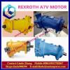 Genuine excavator pump parts For Rexroth motor A7VO160LRD 63R-NZB01 hydraulic motors