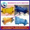Genuine excavator pump parts For Rexroth motor A7VO160EP 63R-NZB01 hydraulic motors