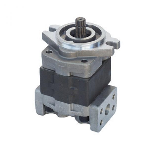 Commercial DP206-20 Hydraulic Gear Pump Hydraulic Gear Pump Gear Oil Pump SGP1 #1 image
