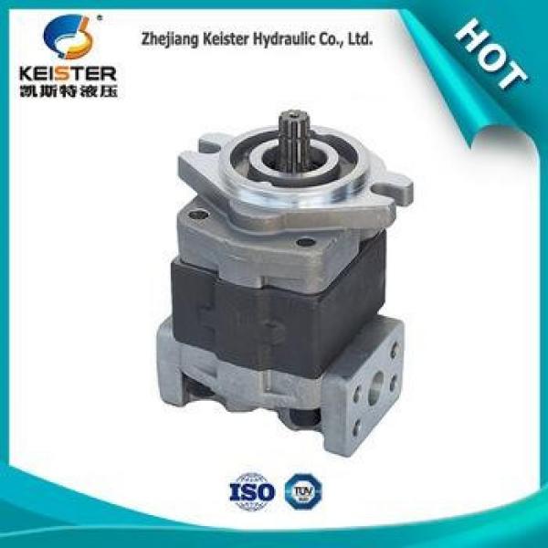Oil Transfer Gear Pump Hydraulic Gear Pump Gear Oil Pump SGP1 #1 image