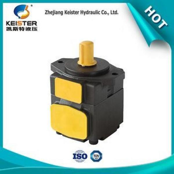 gold DVSB-6V supplier china oil transfer pump #1 image