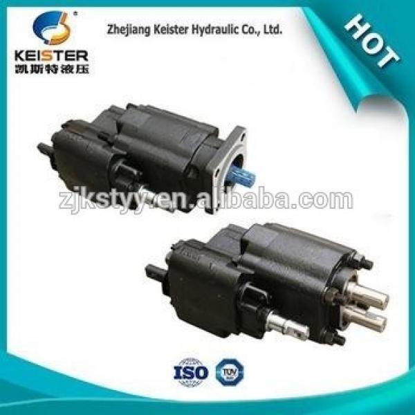 New DVSF-2V style low cost tandem hydraulic gear pump #1 image