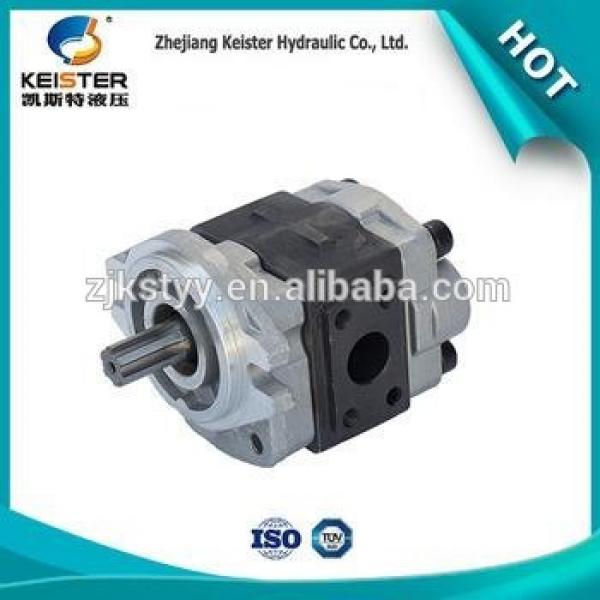 Good DVSF-6V-20 effectbottom price micro gear pump #1 image
