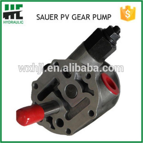 Sauer Pumps PV20 21 22 23 24 Series Gear Pumps Made In China #1 image