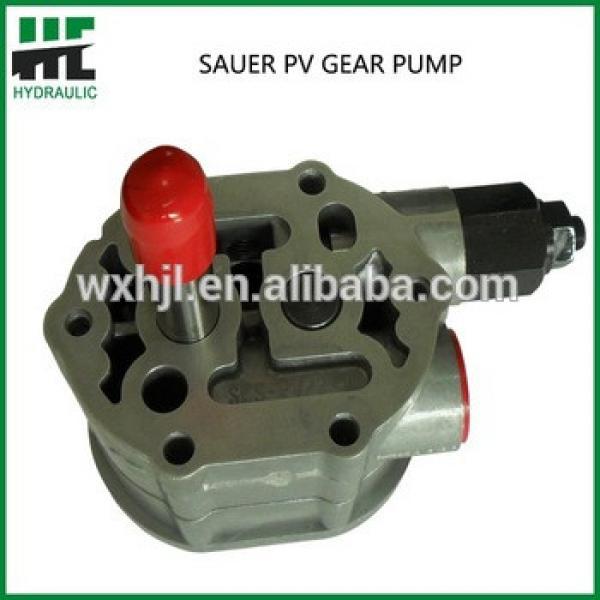 China hydraulic sauer PV series gear pump #1 image