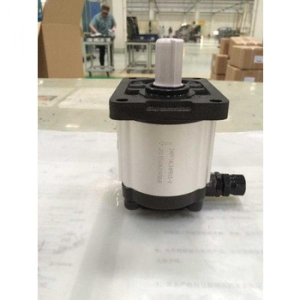 GEAR PUMP with Relief Valve #1 image