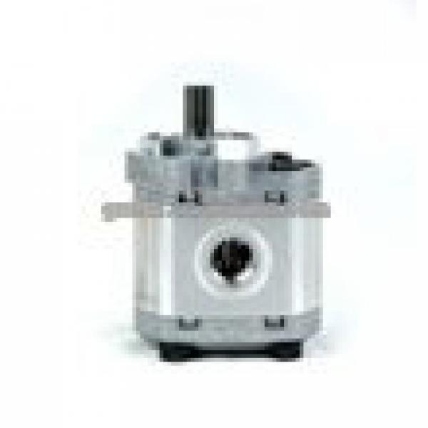bomba hidraulica, gear pump for construction machinery #1 image