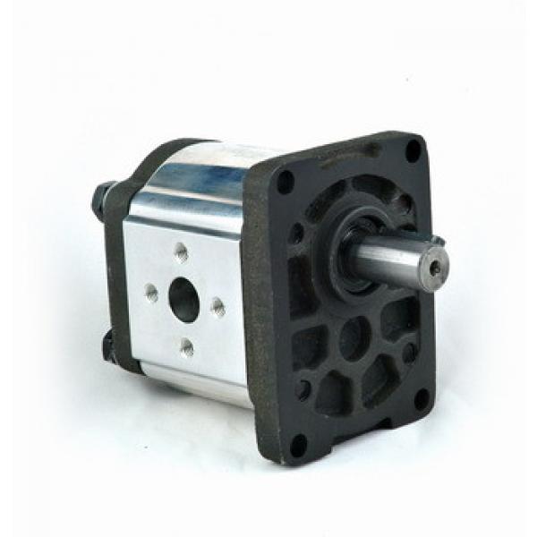 hydraulische pomp group 2, hydraulic gear pump #1 image