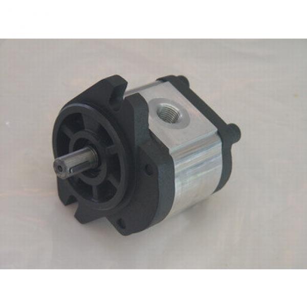 Aluminum hydraulic gear motor #1 image