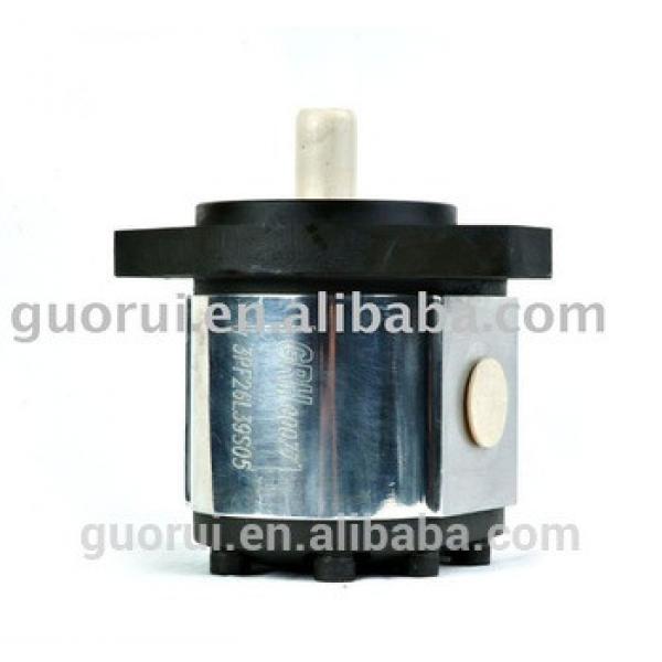 Hydraulic External Gear Pump for Extrusion #1 image
