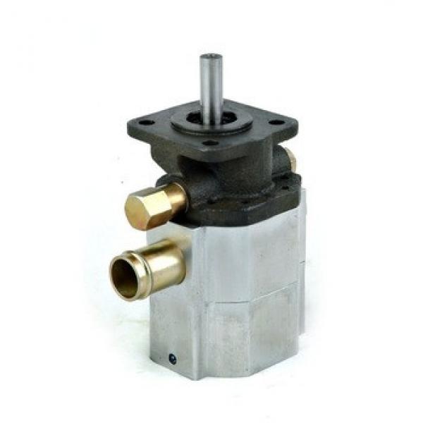 hydraulic axial piston motor #1 image