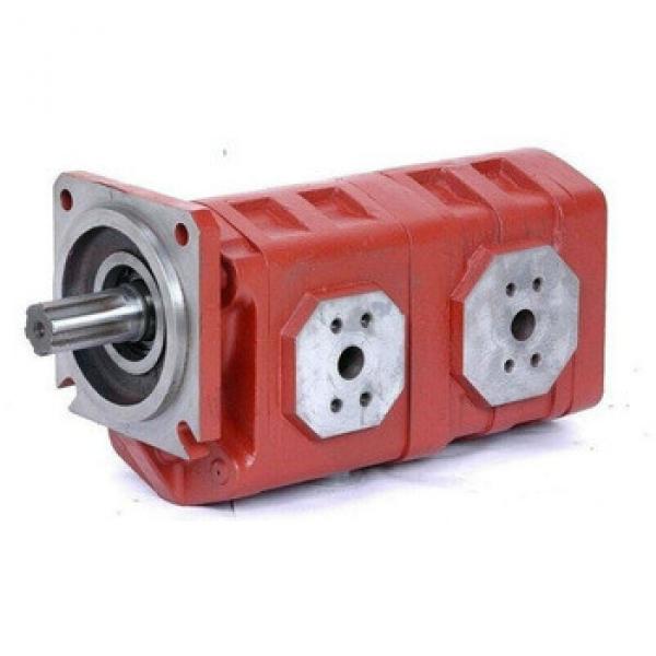 CBGJ3160 double cast iron pump /wheel loader gear pump #1 image