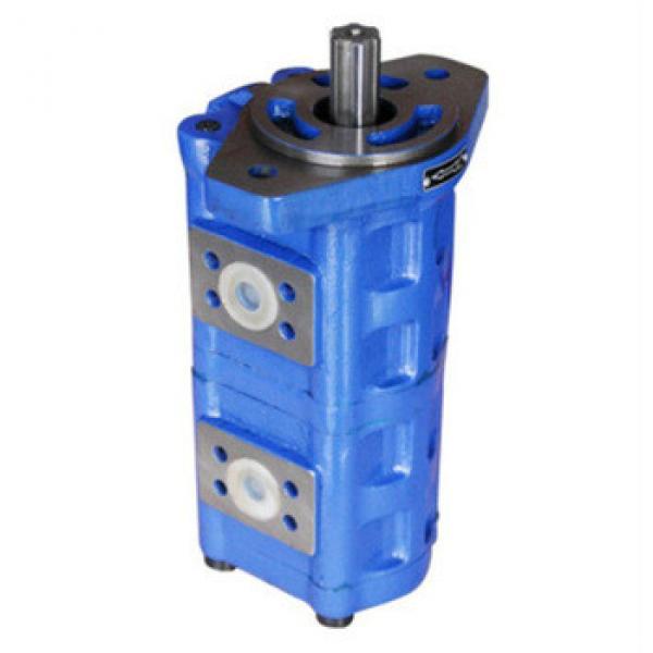 CBGj1050/1032 Most Reliable Operation Double Hydraulic cast iron gear pump Displacement 1st:50ml/r &amp; 2st:32ml/r #1 image