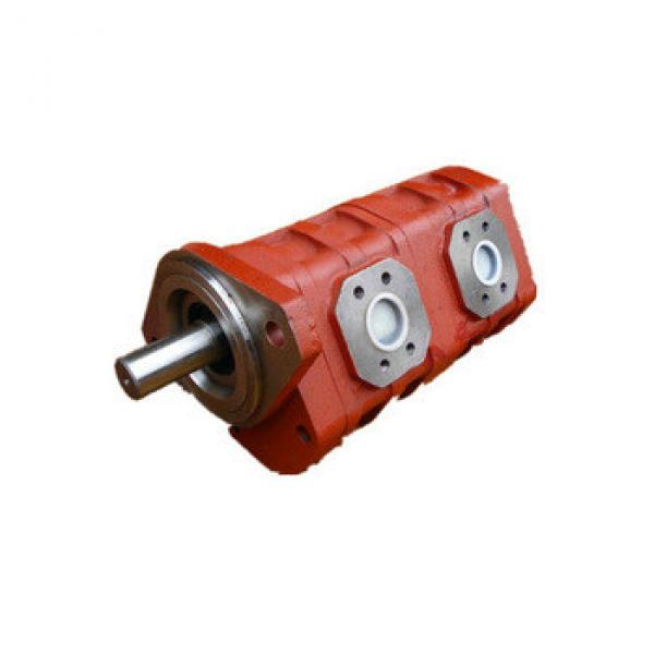 CBGj3100/3100 Wide Used Double Hydraulic cast iron gear pump #1 image