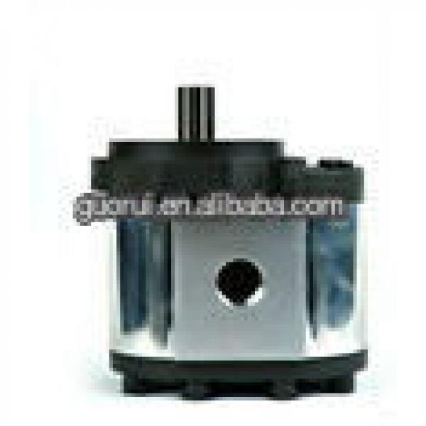 Good Quality Hydraulic Rotary pump for Agriculture machine with competitive price #1 image