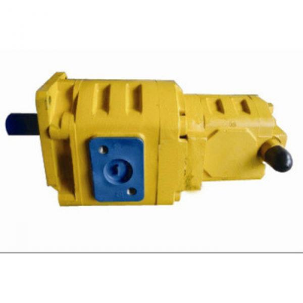 CBGj Double Hydraulic cast iron gear pump #1 image