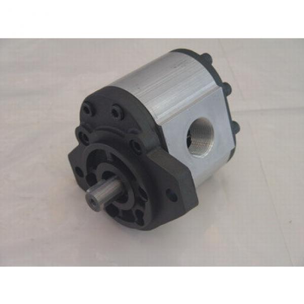 hydraulic gear motor for rexroth pump parts #1 image