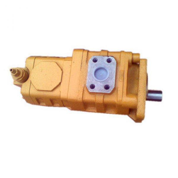 CBGj Double Hydraulic cast iron gear pump Displacement: 63ml/r &amp; 25ml/r #1 image