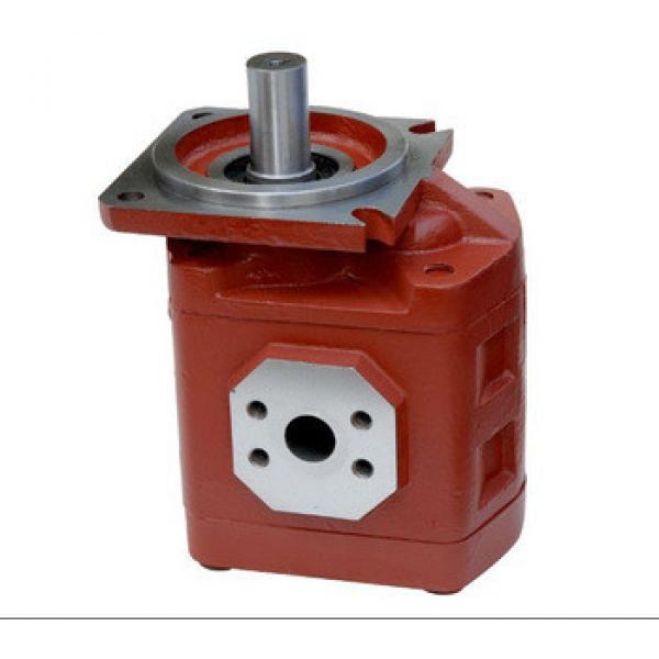 CBGj Group2 Hydraulic cast iron gear pump Displacement: 80ml/r #1 image