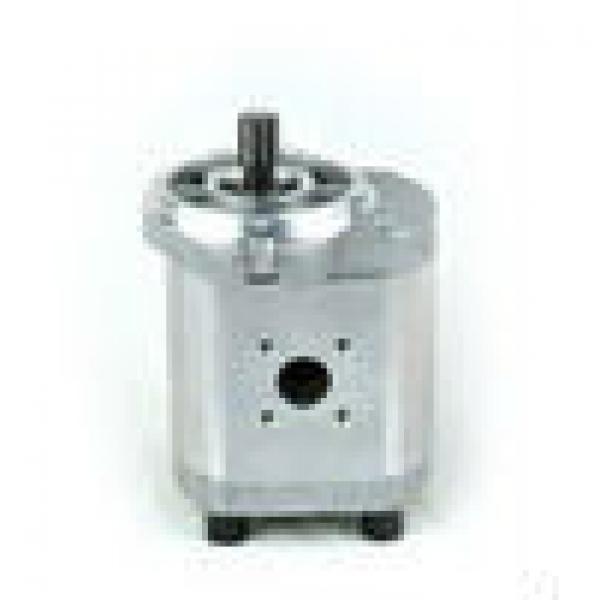 High pressure small Hydraulic Gear Pump for Construction &amp; Agricultural #1 image