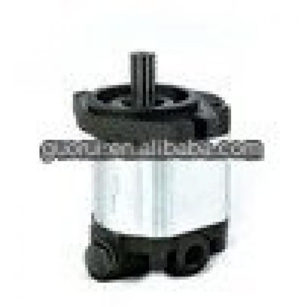 different group Hydraulic gear motor #1 image