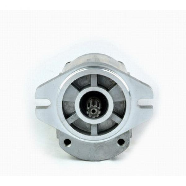 hydraulic gear motor pump with outboard bearing #1 image