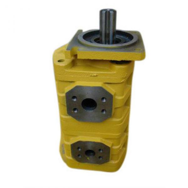 CBGj Double Hydraulic cast iron gear pump Displacement : 80ml/r &amp; 32ml/r Ratede speed:2200r/min #1 image