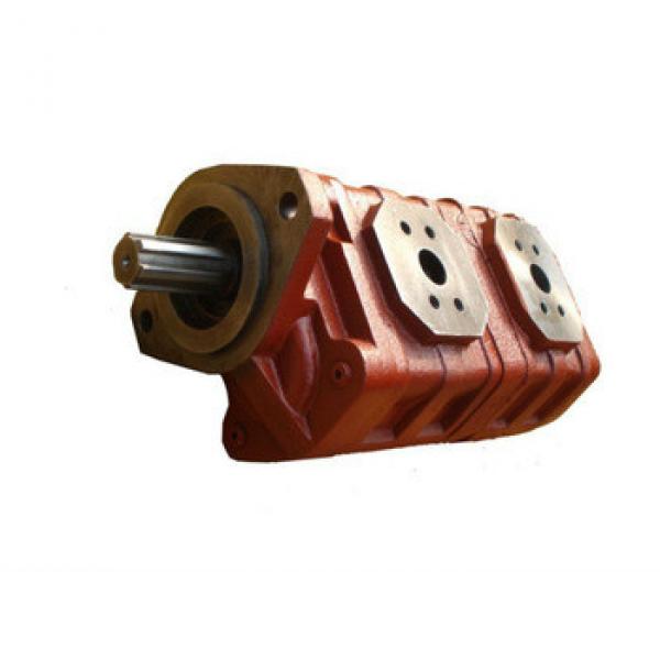 CBGj Hydraulic cast iron gear pump Ratede speed:2200r/min #1 image