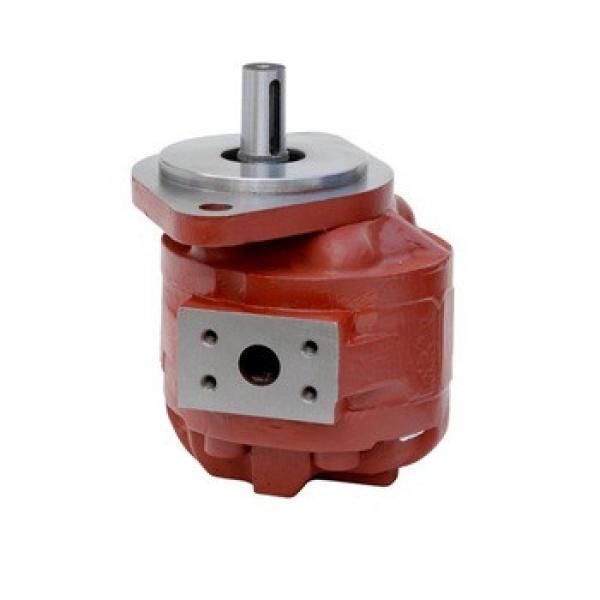 2 HPF Ratede speed:2200r/min Group1 Displacement 32ml/r Hydraulic cast iron gear pump #1 image