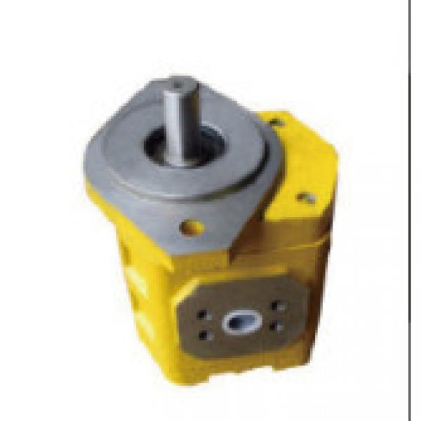 2.5HPF Hydraulic wheel loader gear pump #1 image