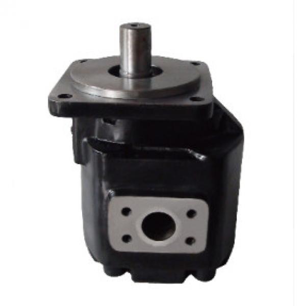 3.5HPF hydraulic cast iron gear pump #1 image