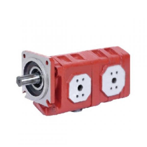 3HDPF double cast iron pump /wheel loader gear pump #1 image