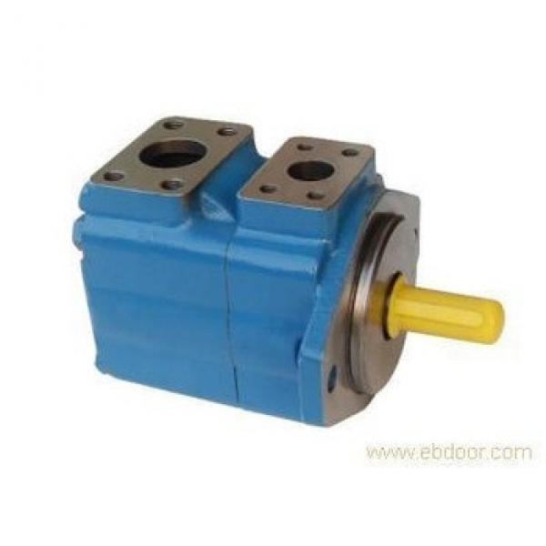 China Manufacturer Hydraulic Rotary Gear Pump #1 image