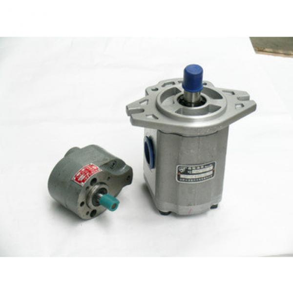 gear pump hidraulica #1 image
