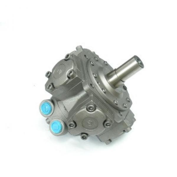 motor radial hidraulic #1 image