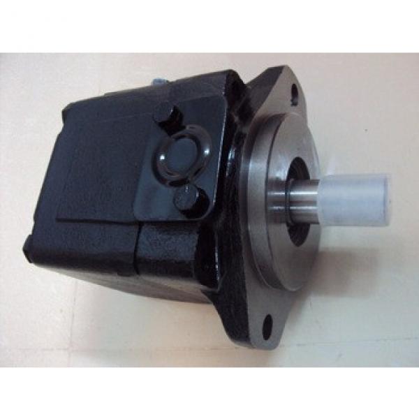 Denison Replacement T6DC hydraulic vane pump with high pressure #1 image