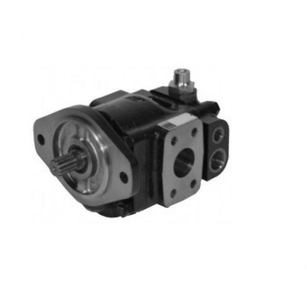 Bolais Parker P31 hydraulic gear motor #1 image