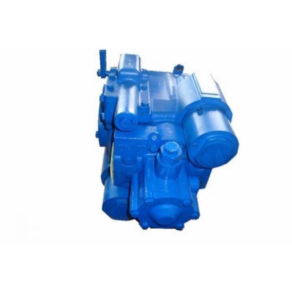 Bolais OEM Eaton Hydraulic Pump #1 image