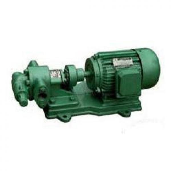 Marzocchi Hydraulic Gear Pump #1 image